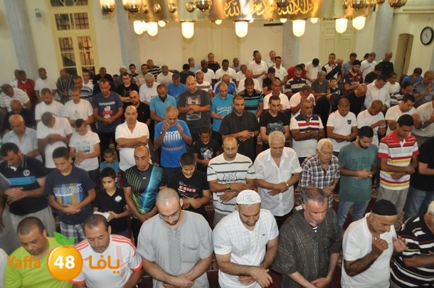 tarawe7 nozhas j (4).JPG